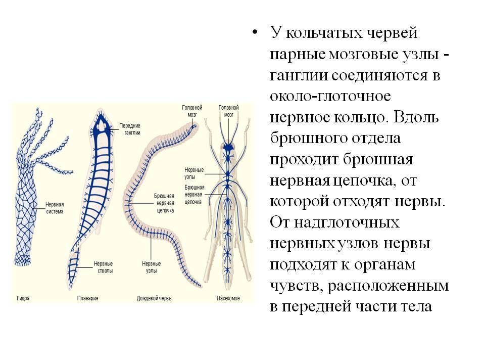 Kraken зеркало рабочее 2024 kraken6.at kraken7.at kraken8.at