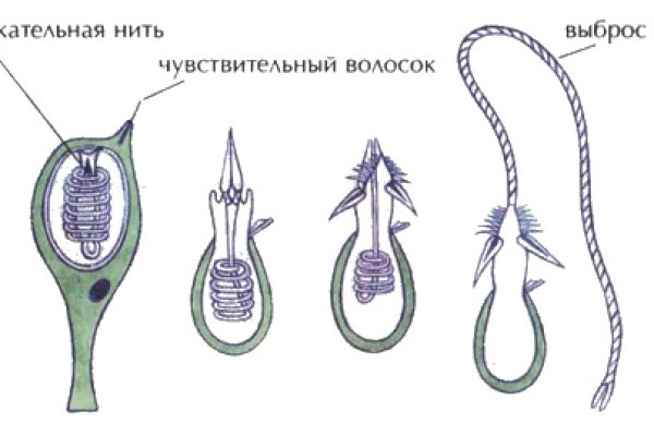 Kraken зеркало рабочее 2024 kraken6.at kraken7.at kraken8.at