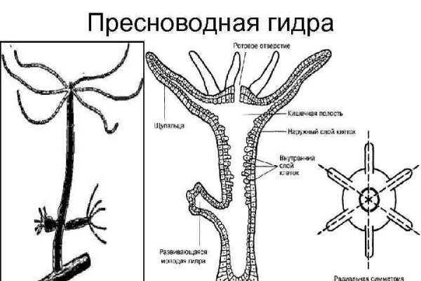 Омг сайт в обход